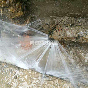徐水消防管道漏水检测